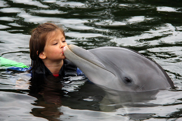 Hadley-Kisses-Dolphin-Dolphins-Plus