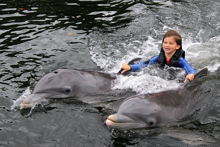 Hadley-swims-with-dolphins-Plus