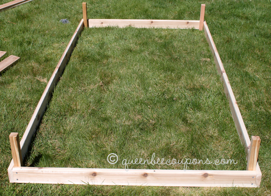 Building-raised-beds